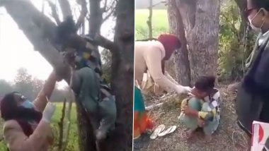 Vaccine Fear: लसीकरणाच्या भीतीने झाडावर चढली मुलगी, व्हिडिओ पाहून तुम्हीही व्हाल लोटपोट; Watch Viral Video